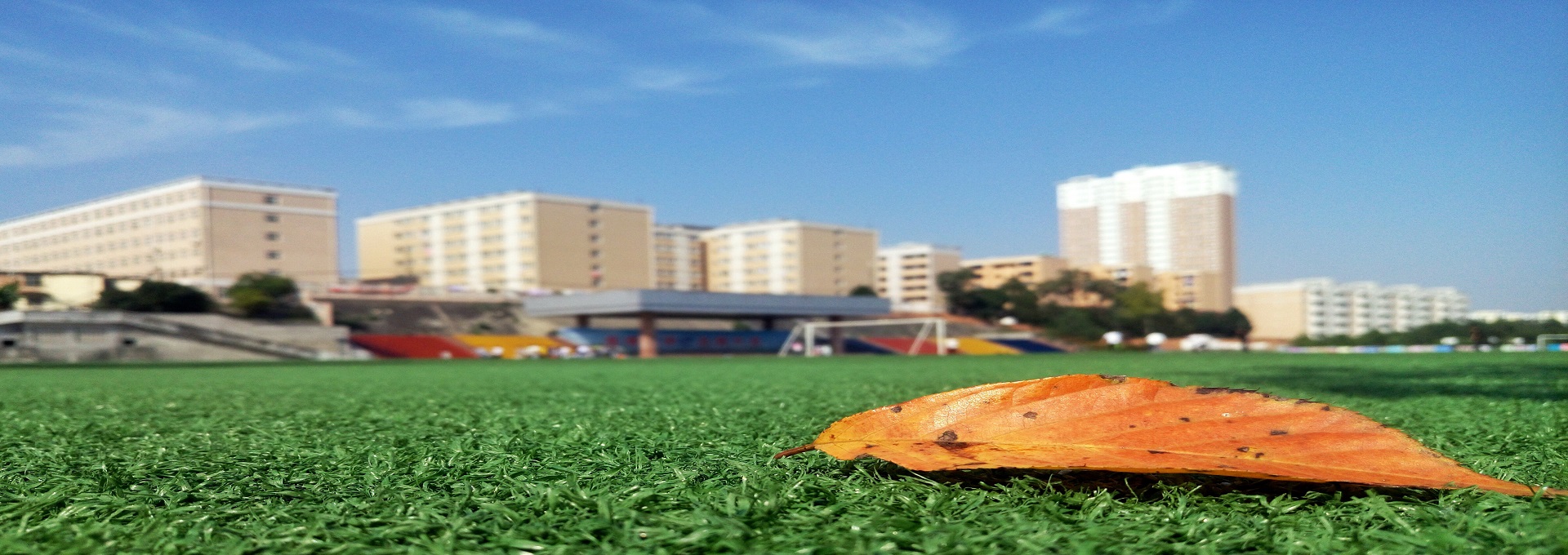 1557216521383552.jpg 3.jpg